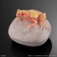 The Diversity of Life on Earth Tree Frog Figure 02 Set of 5 Complete Bandai