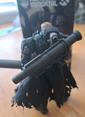 ACID RAIN /ANNEX 2179 1/18: CUSTOM TYRANT Version Abaddon Immortal *US Seller*