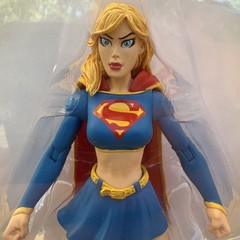 DC Direct Superman Series 5 Vengeance 2 Supergirl & Power Girl Action Figures