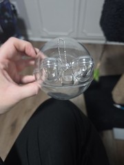 Clear Protective Case for Labubu, Shell Dustproof Display Cover for Labubu