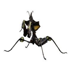 The Diversity of Life on Earth Advance Devil’s Flower Mantis Figure Bandai Gasha