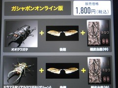 Living Creatures Encyclopedia Advance Stag Beetle 02 (All Online Version) (Elaph