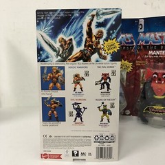 Masters Of The Universe Origins Wave 9 200X Skeletor HE-MAN Pig Head & Mantenna