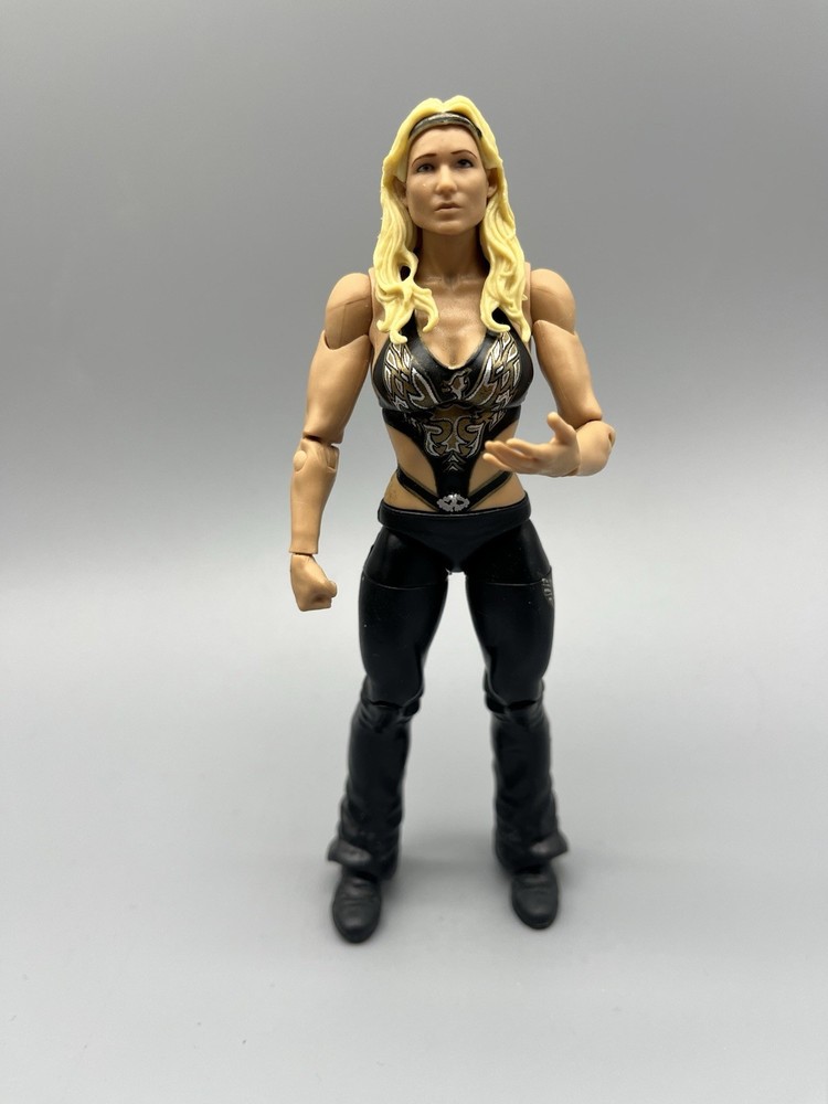 WWE Mattel Basic Royal Rumble Heritage Series 1 Beth Phoenix Wrestling Figure