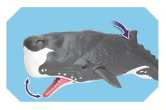 Fun Storm Deep Sea Biology Series Sperm Whale King Octopus Children’s Model Toy