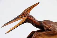DINO DREAM 1/15 Pteranodon with Base Dinosaur Model GK Animal Figure Toys Gift
