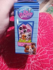 Lot Of 2Hasbro Littlest Pet Shop Pet Pairs Series 3 2 Pets Inside Unopened NEW