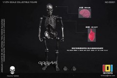 101TOYS NO.ES001/2 Palm Elf Series Skeleton Body 1/12 Action Figure Collectible