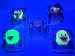 Jeep Branded 2″ Ducks in Paper Jeep 4×4 Box Set Of 8 W/ Some UV Reflective *READ