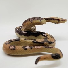 Durable Python Animal Figurine – Ideal Gift for Young Explorers & Halloween