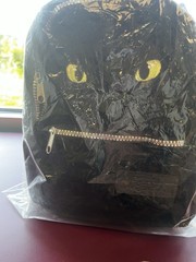 Brand new *HTTYD Toothless Mini Backpack/CultureFly Sitting Toothless Figurine