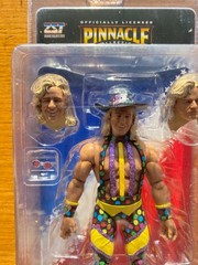 Zombie Sailor Pinnacle AEW WWE figure Jeff Jarrett Brand New Damaged Package