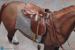 DID 1/6 Scale Brown WWII German War Horse (Standing) for 12″ Figures E60084