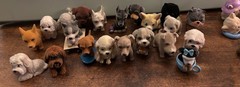 Kitty Puppy Zoo In My Pocket Assorted 34 Flocked Figures Used
