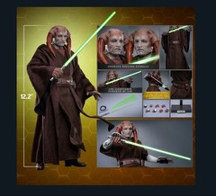 Saesee Tiin Hot Toys 1/6 12″ Figure Star Wars Item 914041 MMS820 In Stock