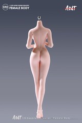 ANT N306 1:12 Female Seamless Body Pale Large Bust Plump Hip 6″ Action Figure