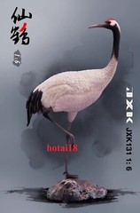 JXK 1/6 Red-crowned Crane Model + Base Grus Japonensis Animal Figure Gift Decor