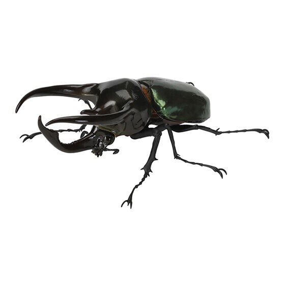 The Diversity of Life on Earth Beetle Vol. 06 Figure Bandai Capsule Toy Gashapon