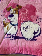 The Secret Life Of Pets 2 Plush Throw Blanket Lovey 46×38”