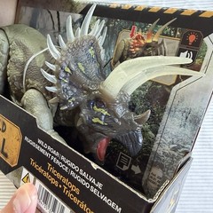 Mattel Jurassic World Survival Wild Roar Triceratops Park Dinosaur Figure