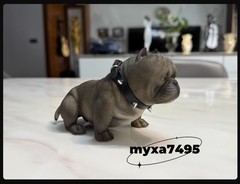 Realistic Bully Dog Model Puppy Animal Ornament Figurine Statue Resin Toy Gift