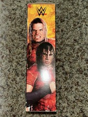 WWE Elite Collection the Hardy Boyz Matt Jeff Ringside Exclusive Figures