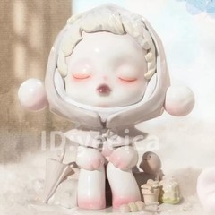 Skullpanda The Warmth Series Figure Blind Box Confirmed Gift Toys