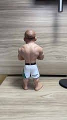 UFC Action Figure Mixed Martial Arts Fighter Waderlei Silva Vanderlei Pridefc 🔥