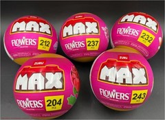 LOT OF 5!!!! MAX Build More Flowers Capsule – Long Flowers RANDOMLY CHOSEN