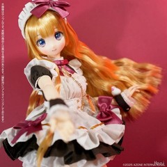 Azone Dreamin Kokone 25cm/9.8In Bjd 1/6 13Th Anniversary Limited Full Set Gift