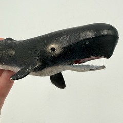 5 Whale Narwhal Realistic Toy Lot Ocean Life 6-11” Unbranded Schleich Type READ