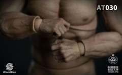 Worldbox 1/6 Durable Muscular SUPER STRONG Body AT030 12″ Male Figure ❶USA❶