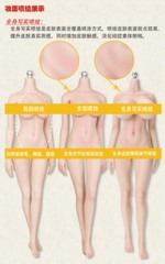 LDDOLL 29L 1/6 Seamless Silicone Body with details Figure Fit Female Head Model