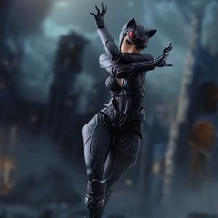 DC Catwoman Batman Movie 6-inch Action Figure Revoltech Amazing Yamaguchi Toys