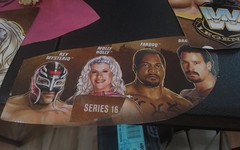 WWE Mattel Legends series #16 molly Holly w/chase the APA & Rey Mysterio