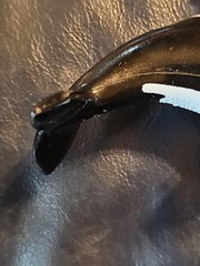 Free Willy Orca Killer Whale Small Toy Figurine- 3 In Long, 2 In Tall