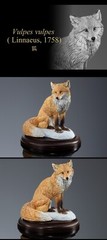 Wild Canine Animals Figure Bandai Creature Encyclopedia Display Model Collection