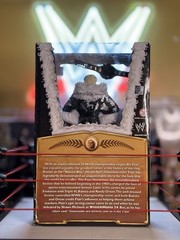 WWE Defining Moments (CHASE) Elite: Ric Flair
