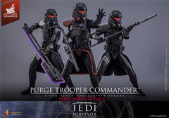 HOTTOYS HT VGM67 Star Wars Purge Trooper Commander1/6 Action figure