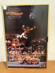 WWE Elite Wrestlemania X Ladder Match Shawn Michaels Razor Amazon Exclusive