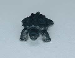 Lot Of 10 Turtles Hard Plastic And Rubber