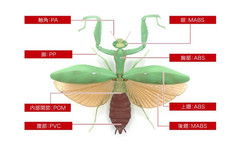 The Diversity of Life on Earth Mantis 03 Set of 6 Complete Bandai Capsule Toy