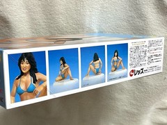 E12 Shiori Nomura 17 years old REDS 1/6 Cutie Angel Collection No.3 Comes with 3