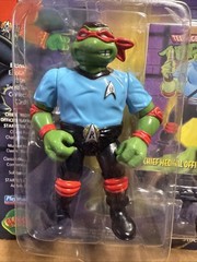 Playmates Star Trek Teenage Mutant Ninja Turtles Chief Medical Officer Raphael