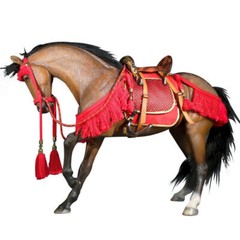Mr.Z 1/6 Scale Animal Resin Simulation Toy Akhal-Teke Horse Figure 6 Color Model