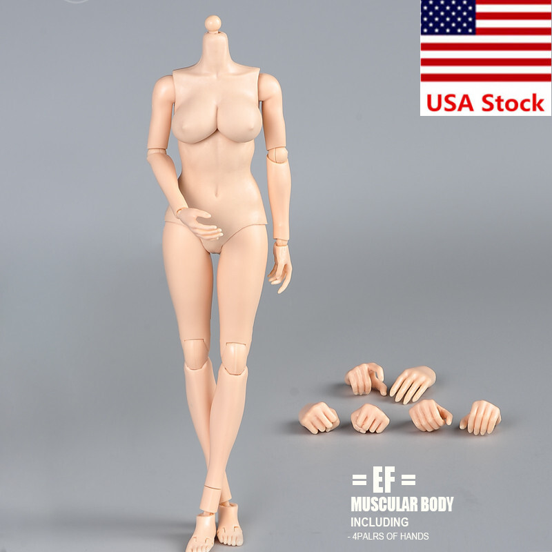 1/6 Female Pale Super Large Breast Chest Flexible Joint Body For 12″Figure Model