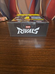 Hasbro Marvel Legends Series Marvel Rivals The Punisher Action Figure NIB
