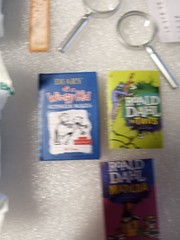 ZURU MINI BRAND BOOKS LOT ROALD DAHL THE TWITS ROALD DAHL MATILDA DIARY OF A WIM