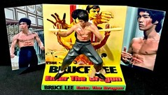 BRUCE LEE 🥋 ENTER THE DRAGON 🥋 Action Figure on Custom Design Display Diarama