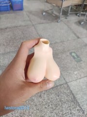 1:6 Pale Skin Normal Breast Bust Cover Model F 12” Female TBL PH Figure Body